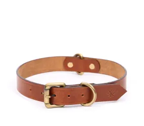 BIG DOG COLLAR CLASSIC