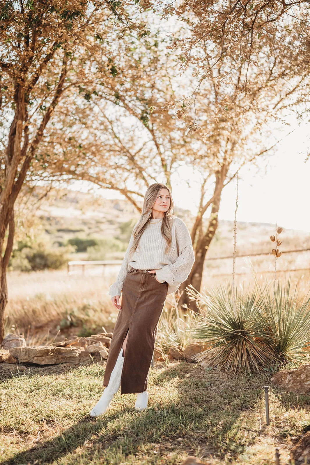 Chasing Dreams Brown Denim Midi Skirt