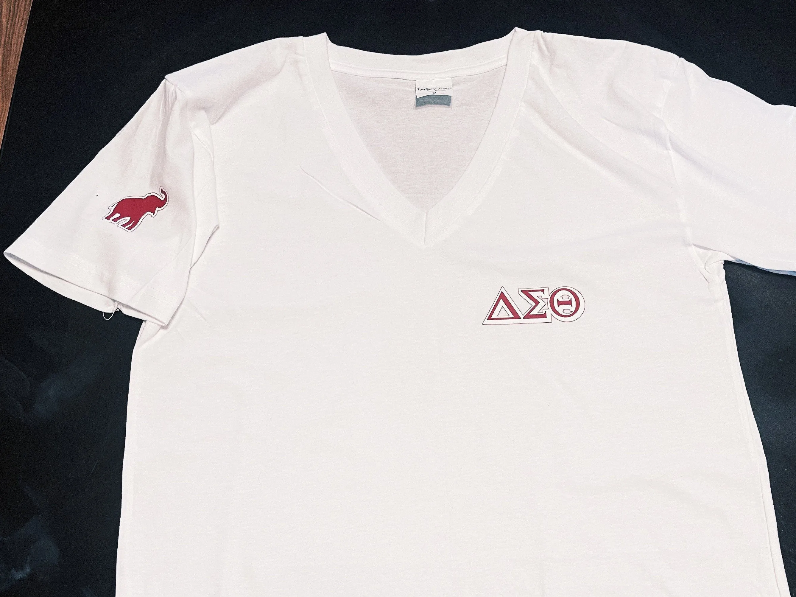 Delta Sigma Theta Summer V-Neck Shirt