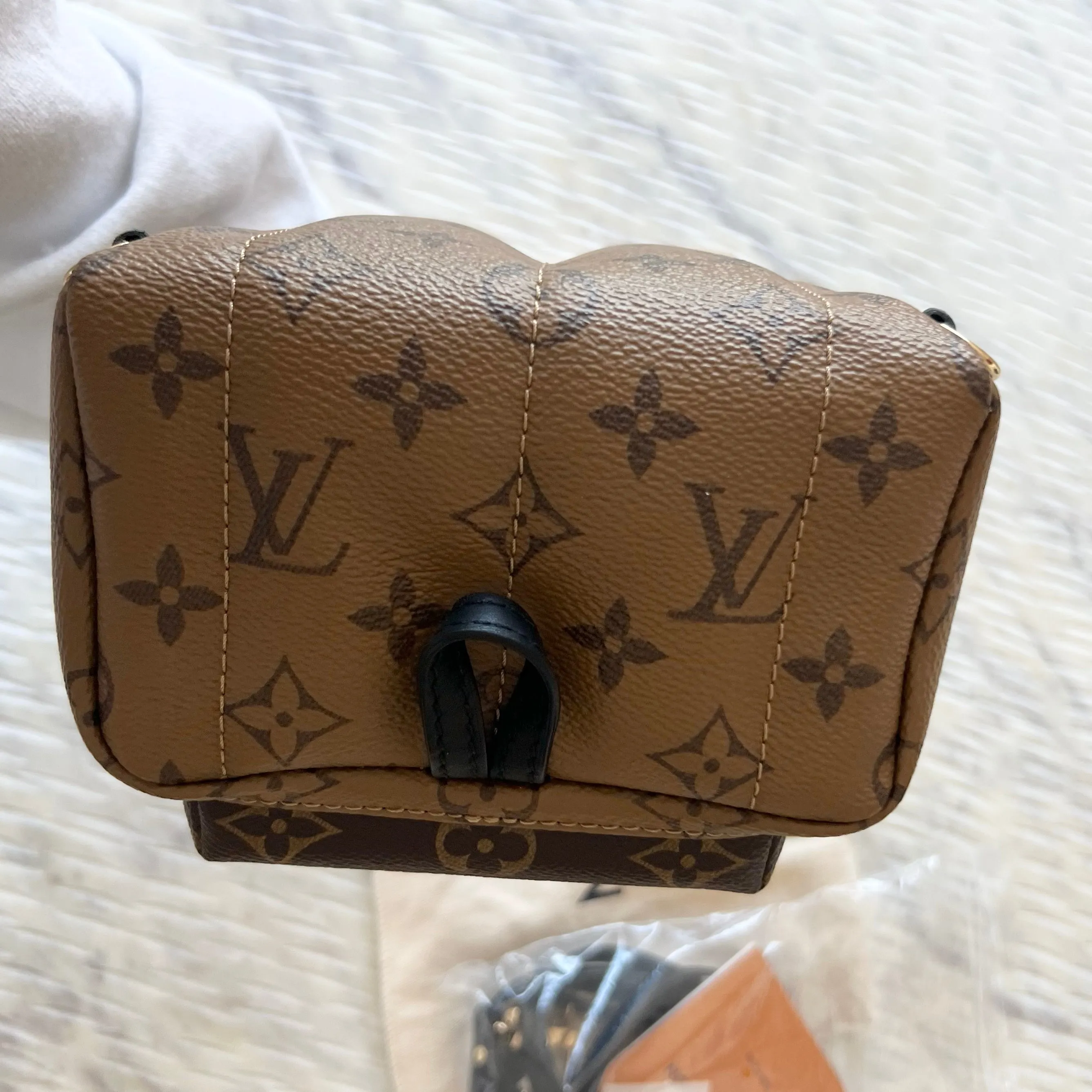 Louis Vuitton Reverse Monogram Palm Springs Mini Backpack